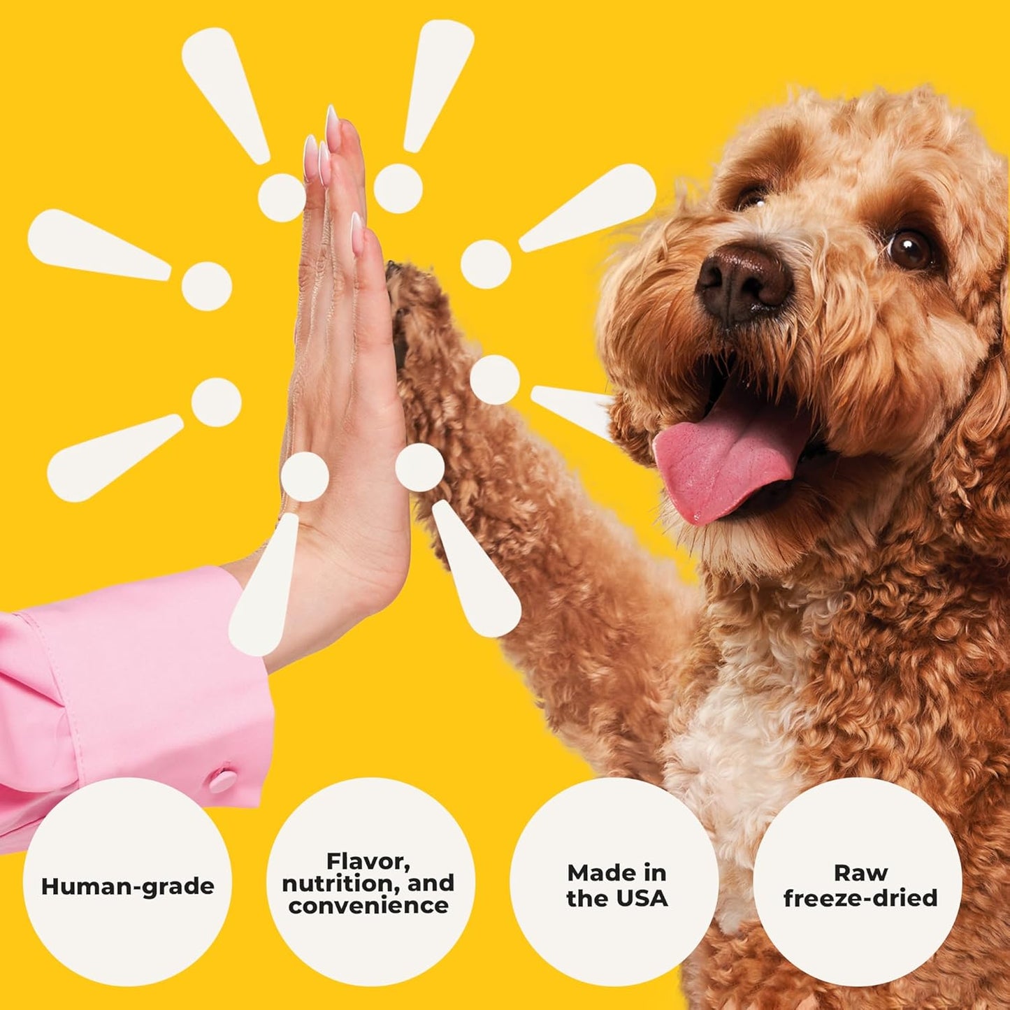 Beef Liver Dog Treats Freeze Dried - Single Ingredient Human Grade Raw Liver Bites for Training, Meal Topper, No Additives - High Protein (31g Per Cup) Dog Stocking Stuffers, Made in the USA, 4oz Bag