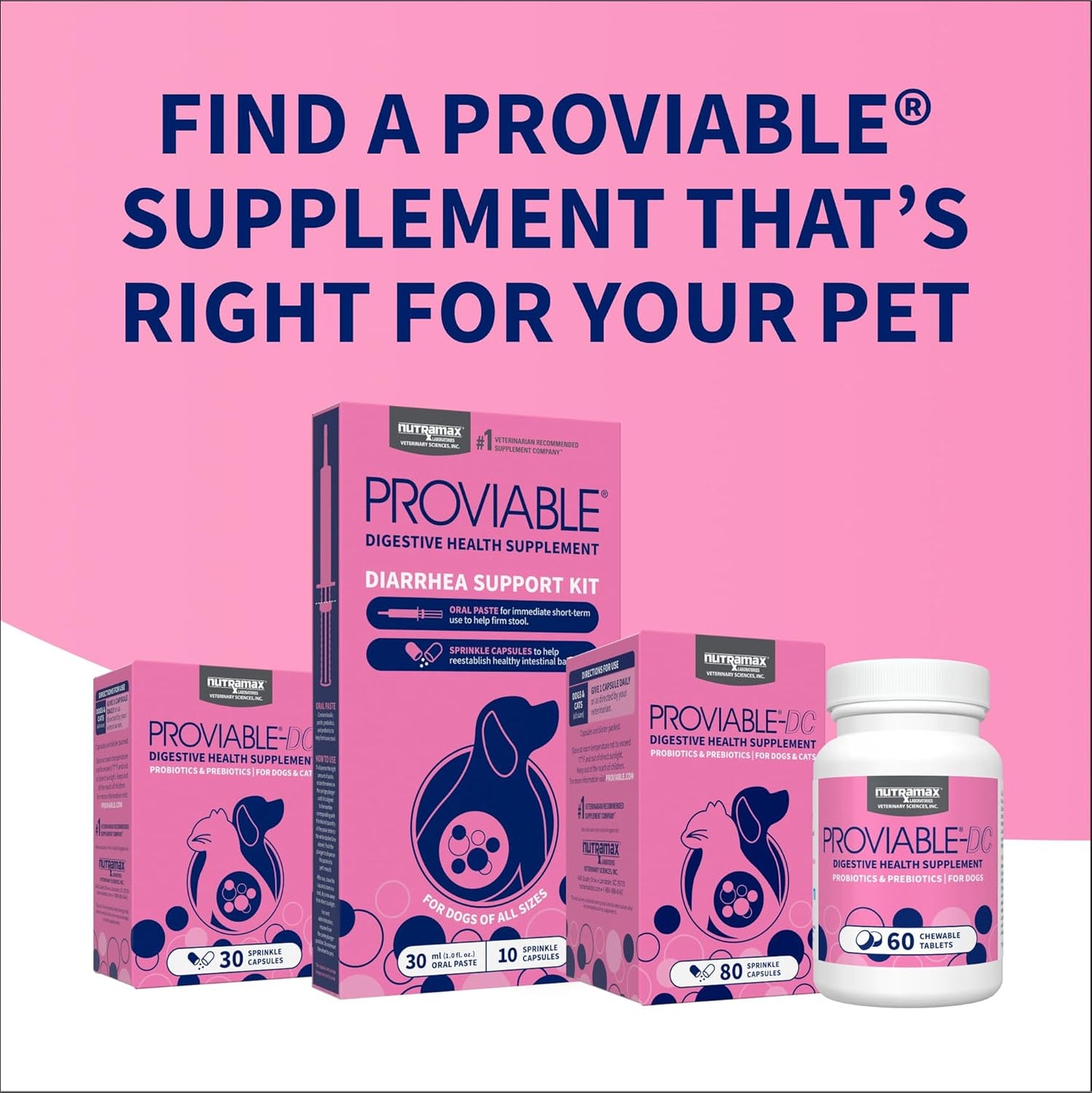 Nutramax Proviable Probiotics for Dogs and Cats, Daily Digestive Health Supplement with Multiple Strains of Bacteria, Cat and Dog Probiotics Plus Prebiotics, 80 Capsules