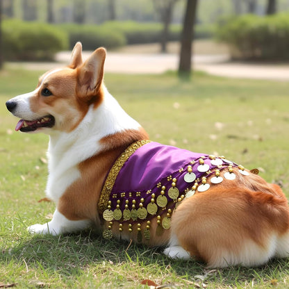 Dogs Belly Dancer Skirt, Waist Chain Hip Curtain Clothes Bling Dance Scarf for Corgis Belly Skirt Dog Dancer Costume with Sequin Puppy Hip Shaking Dance Clothes Decoration Pet Costumes
