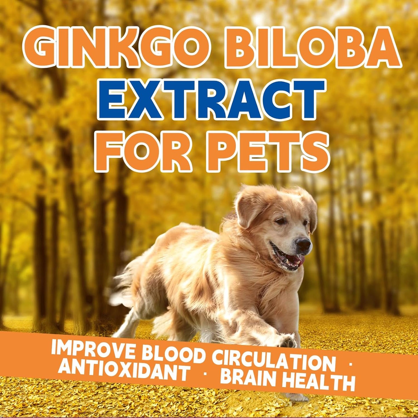 Pet Ginkgo Biloba Extract -Heart & Vascular Supplements for Senior & Overweight Dogs & Cats: Cardiovascular Health, Healthy Blood Pressure & Cholesterol Levels, Brain, Memory, Cognition