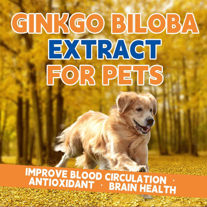 Pet Ginkgo Biloba Extract -Heart & Vascular Supplements for Senior & Overweight Dogs & Cats: Cardiovascular Health, Healthy Blood Pressure & Cholesterol Levels, Brain, Memory, Cognition