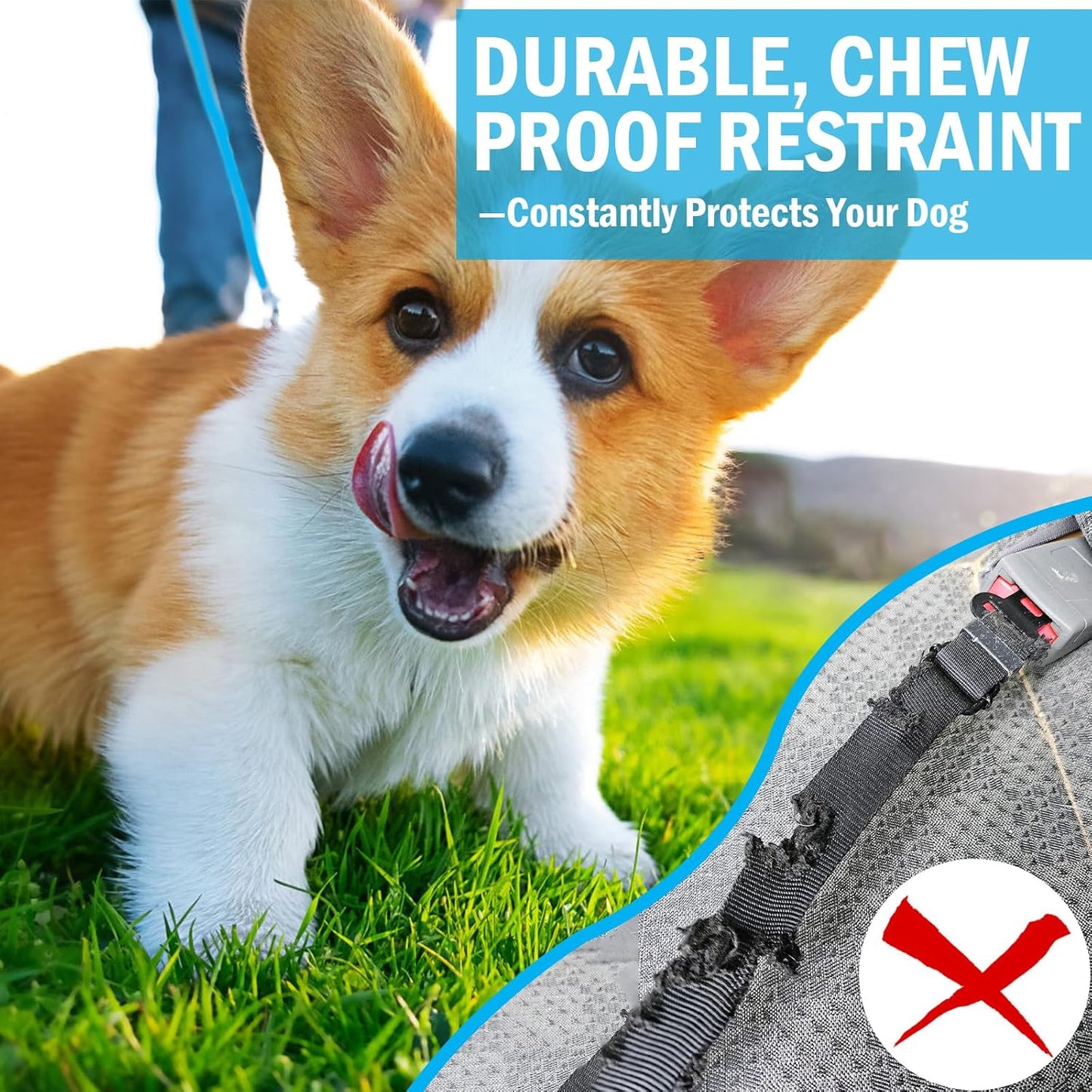 Dog Car Safety Harness,16 Inch/40 cm Double Clips Seatbelt Dog Leash，No Chew seat Belts for Dogs（2 Pack Blue）