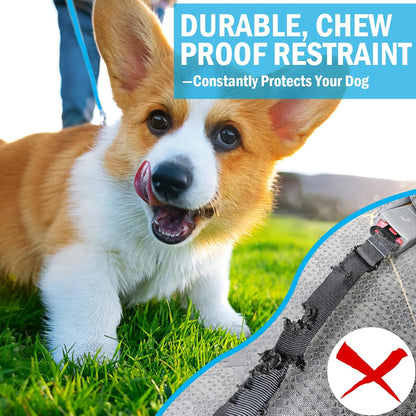Dog Car Safety Harness,16 Inch/40 cm Double Clips Seatbelt Dog Leash，No Chew seat Belts for Dogs（2 Pack Blue）