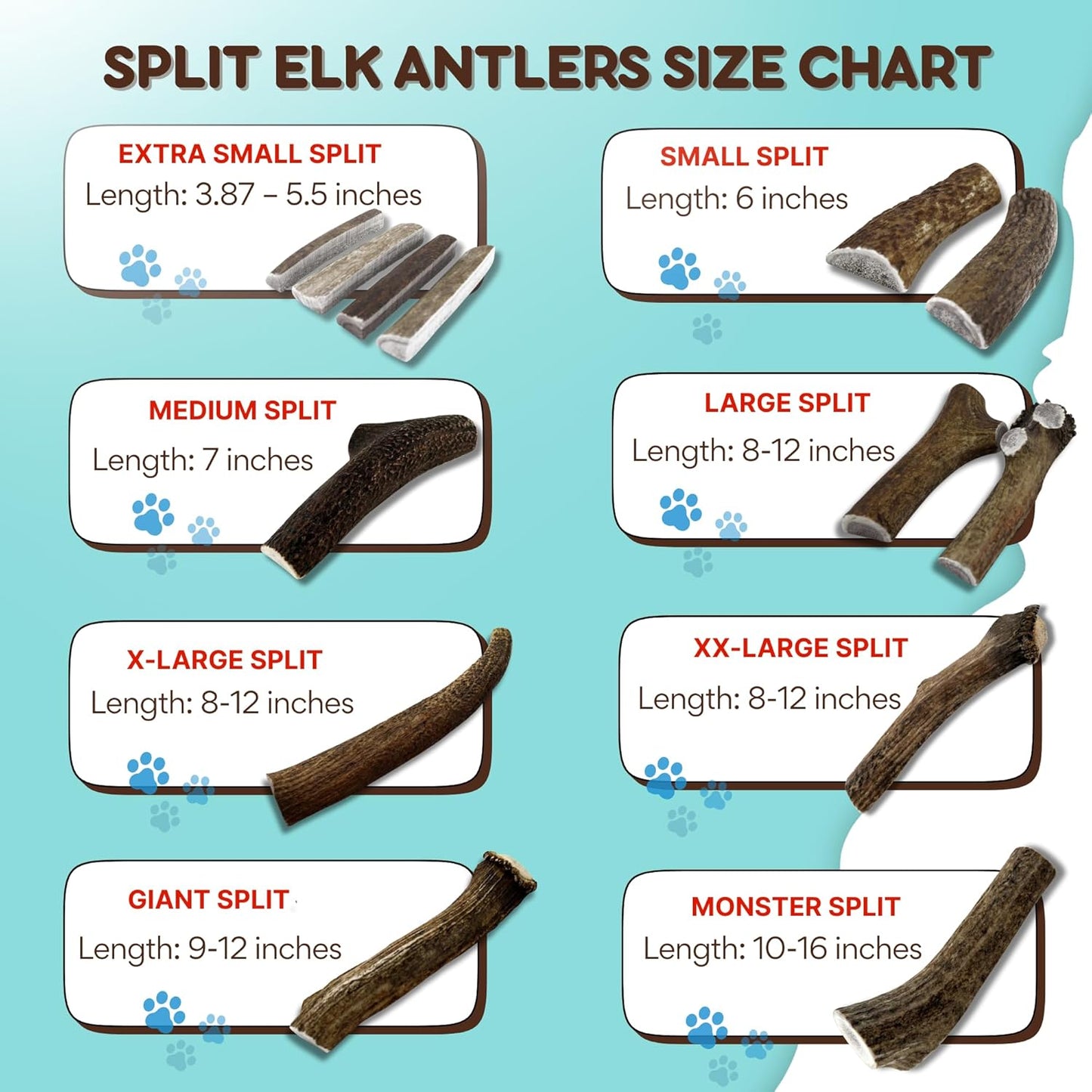 Grade A Premium Quality Elk Antler Dog Chews, Naturally Shed No Preservatives for Mild to Aggressive Chewers, Long Lasting Bone Treat Made in USA (Large Whole 2 Pack)