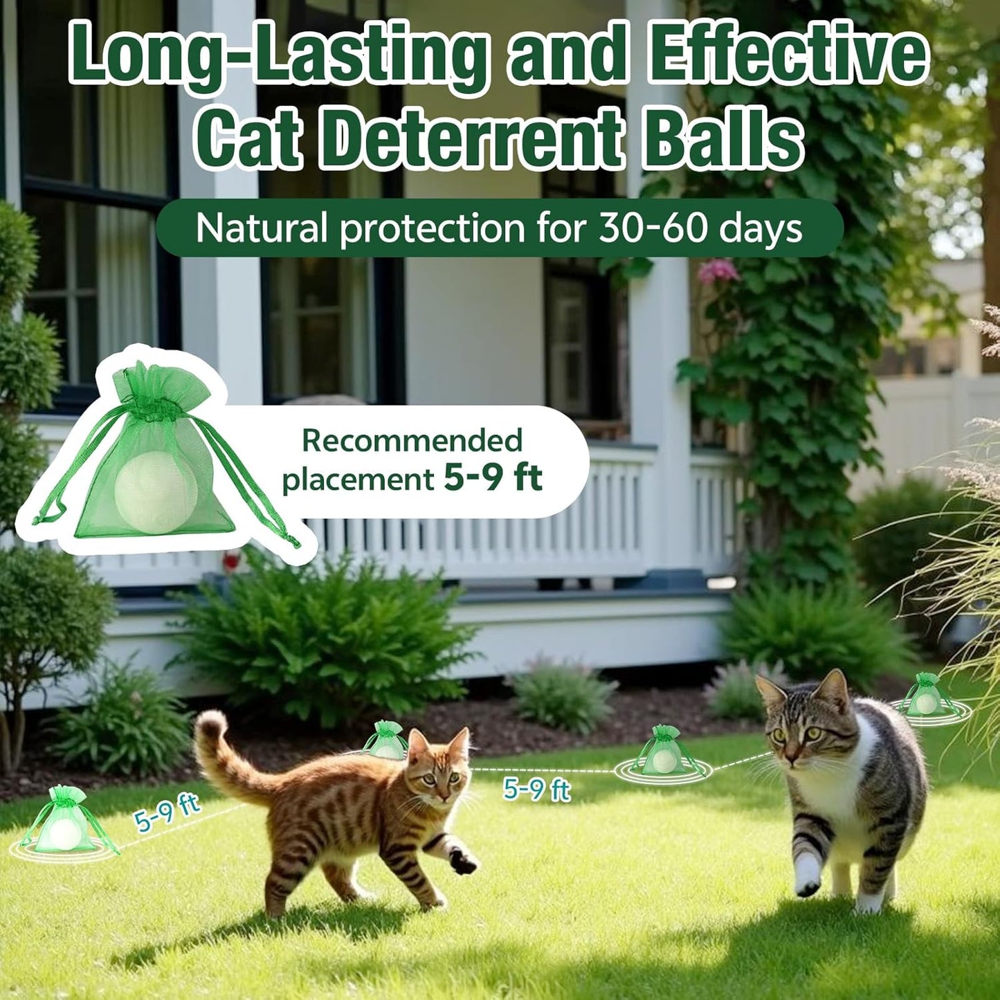 Cat Repellent Outdoor & Indoor, Cat Deterrent Outdoor Indoor, Natural Grapefruit Oil Keep Cats Out of Yard Permanently, Keep Cats Away from Garden, Furniture, and More, 10 PCS (Pack of 1)