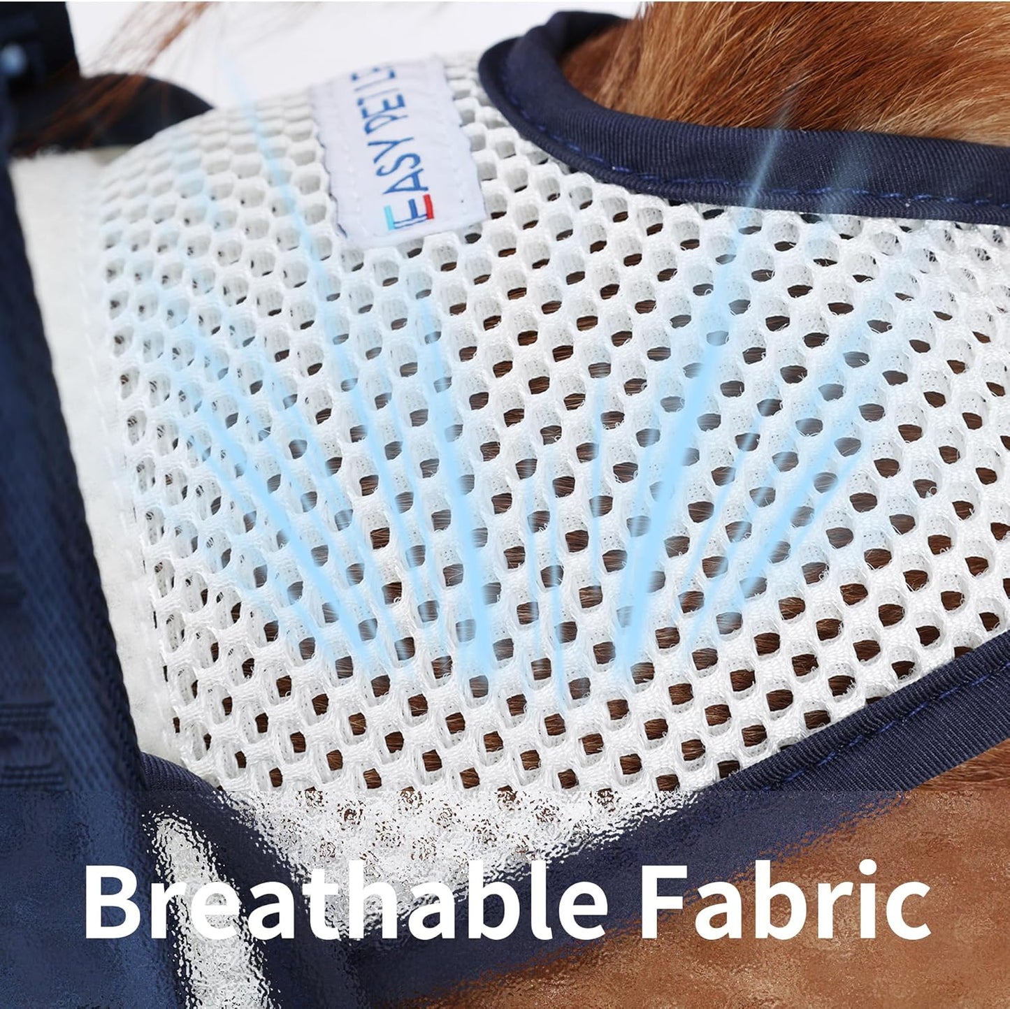 Easy Pet Life Dog Sling for Back Legs, Adjustable Pet Mobility Aid，Pet Rear Leg Support Brace,Hip Support Harness to Help Lift Dogs Rear for Helps Senior and After ACL Surgery (Blue, XL)