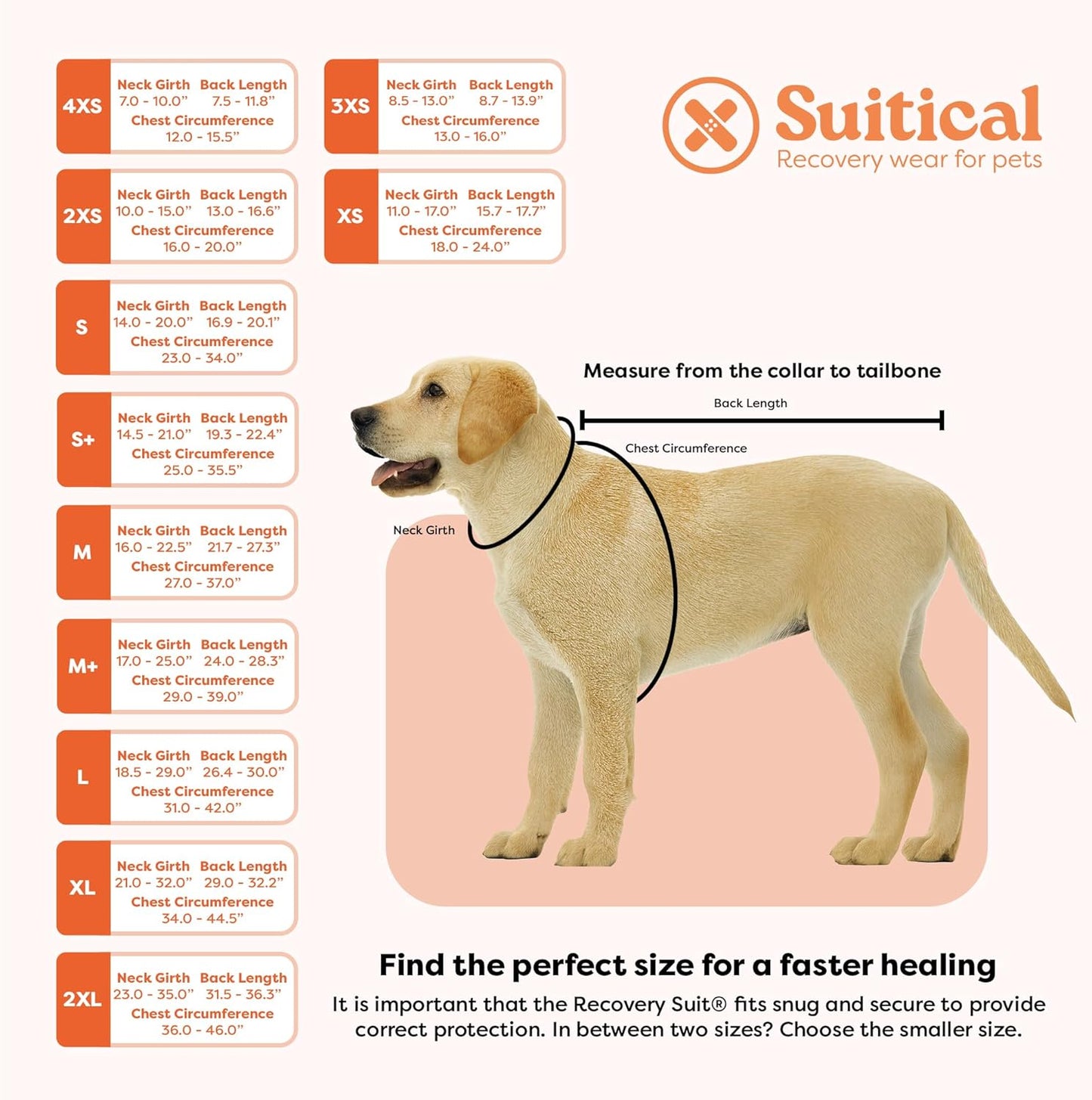 Suitical Recovery Suit for Dogs - XL Black - Dog Surgery Recovery Suit with Clip-Up System, Breathable Fabric for Spay, Neuter, Skin Conditions, Incontinence, 29.1–32.3 in Neck-to-Tail