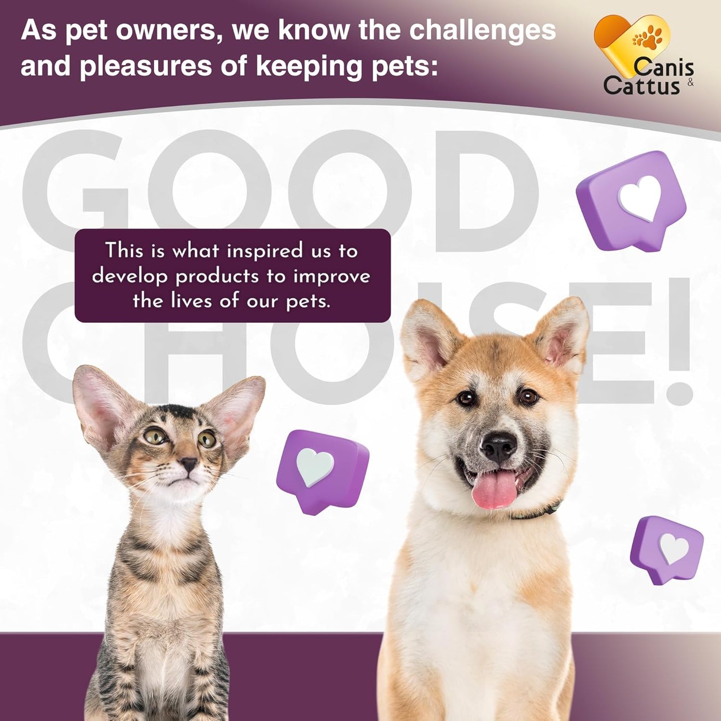 Canis&Cattus Milk Thistle for Dogs and Cats - Liver and Kidney Support for Pets – Salmon Flavor Drops for Daily Wellness – 2 oz