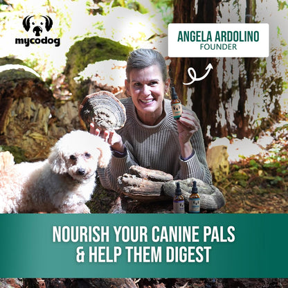 MycoDog Digest - Digestive Support Supplement for Dogs - Gut Health & Microbiome Balance - Probiotic Alternative with Functional Mushrooms and Adaptogens