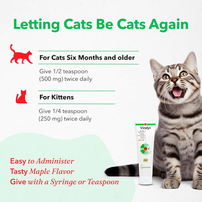 Vetoquinol Viralys Daily L-Lysine Gel for Cats and Kittens, Maple Flavored Lysine Supplement for Cats and Kittens to Support Immune Health, Normal Eye Function and Respiratory Health, 5oz
