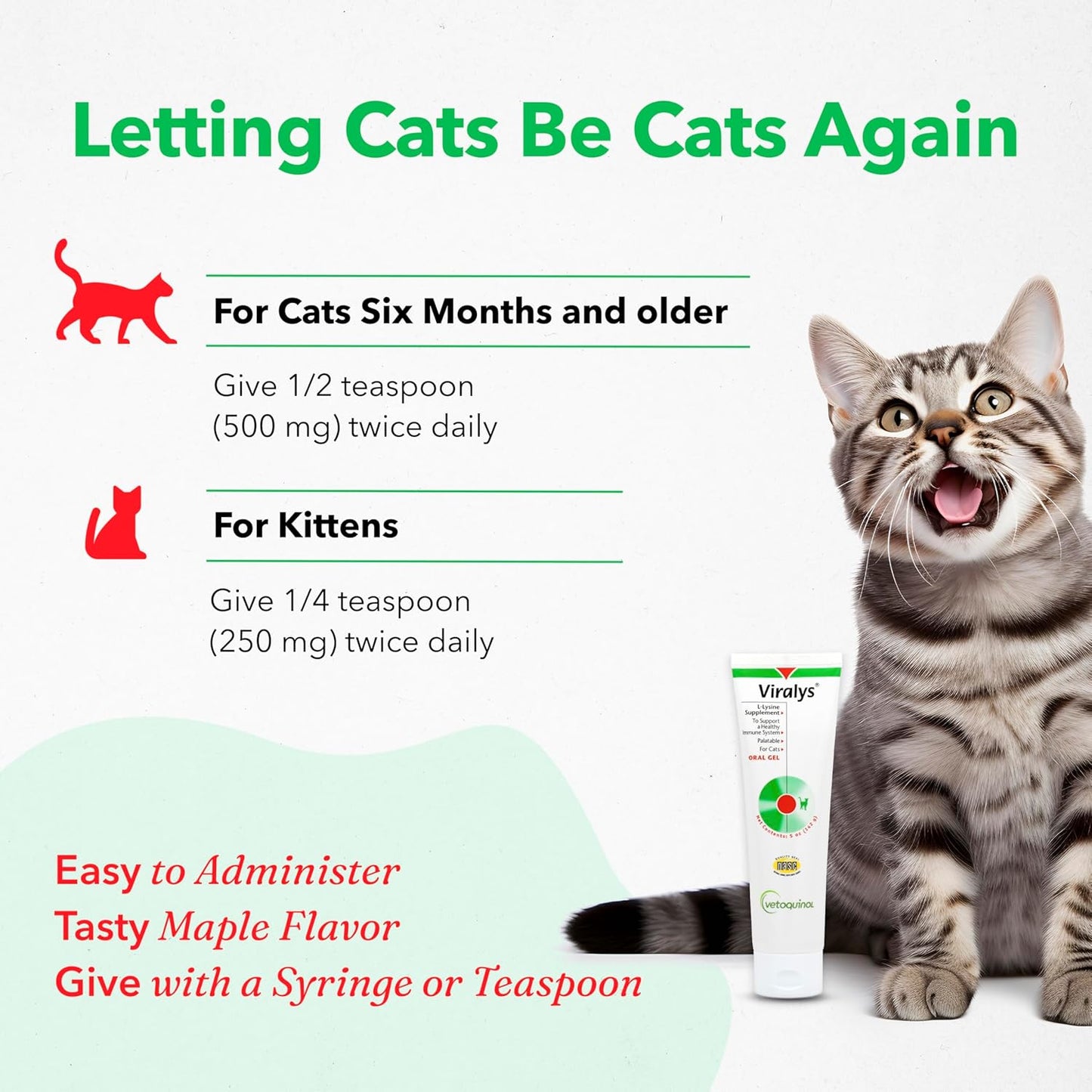 Vetoquinol Viralys Daily L-Lysine Gel for Cats and Kittens, Maple Flavored Lysine Supplement for Cats and Kittens to Support Immune Health, Normal Eye Function and Respiratory Health, 5oz