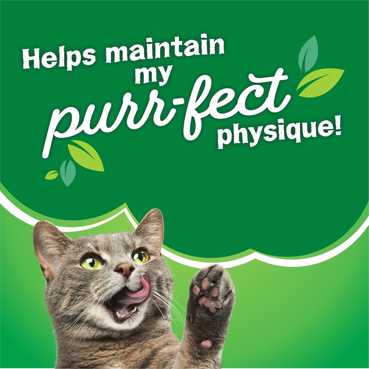 Purina Friskies Dry Cat Food Indoor Delights Flavors of Chicken, Salmon, Peas, and Carrots - (Pack of 4) 3.15 lb. Bags