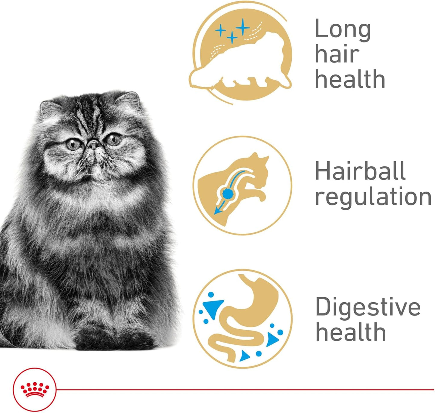 Royal Canin Feline Breed Nutrition Persian Adult Dry Cat Food, 7 lb Bag