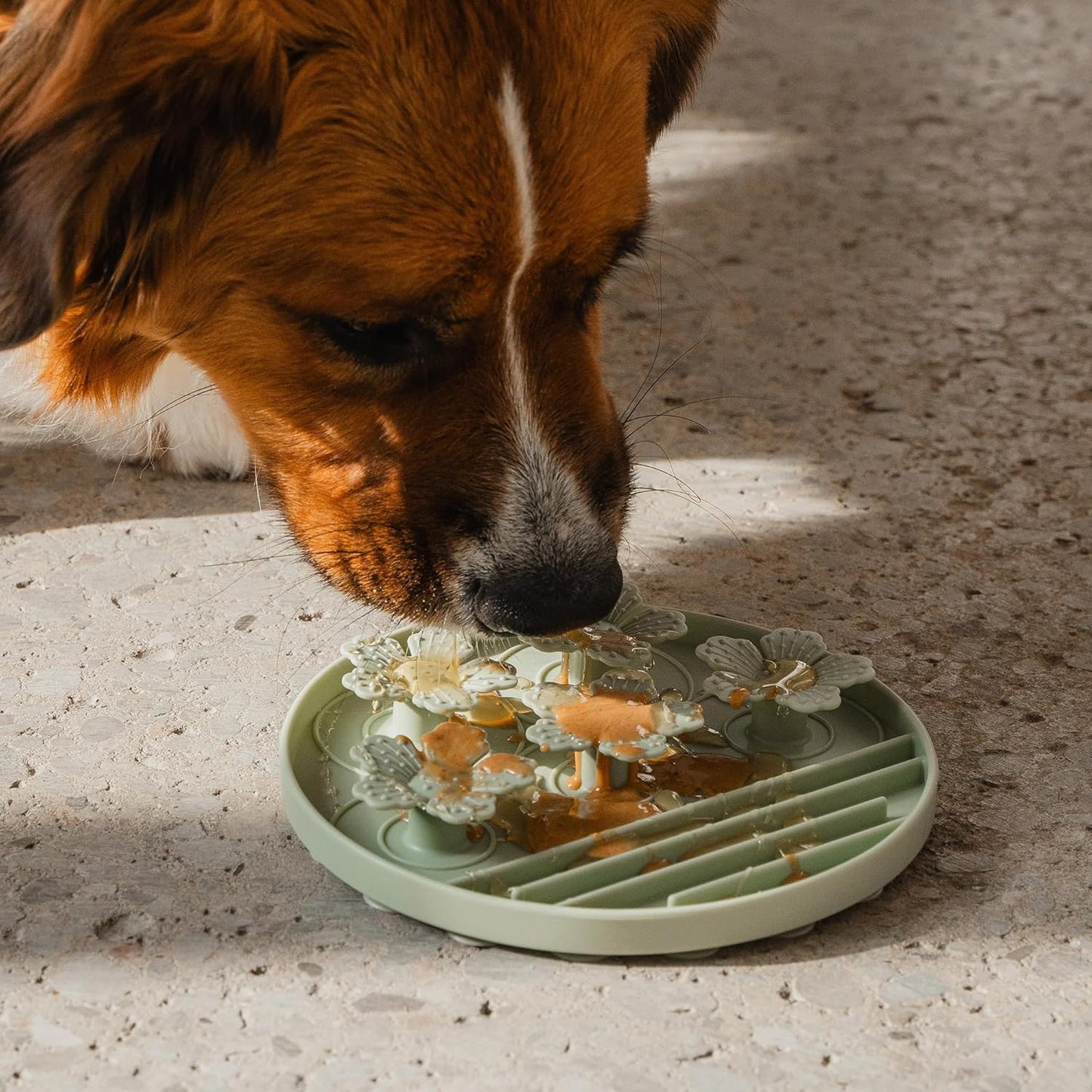 Hide & Seek Slow Feeder - Sage Green - Dog & Pet, Meal & Treat Feeding Accessory, Fits in Most 8" Bowls, Suction Base, Food-Grade Silicone