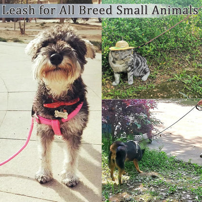 WYuZe 5ft Puppy Leash for Small Dogs, 1/4" Thin Rope Dog Leash with Easy to Use Hook, Lightweight Leashes for Chihuahua/Yorkie/Toy Breed, 10 Colors, Pink Purple