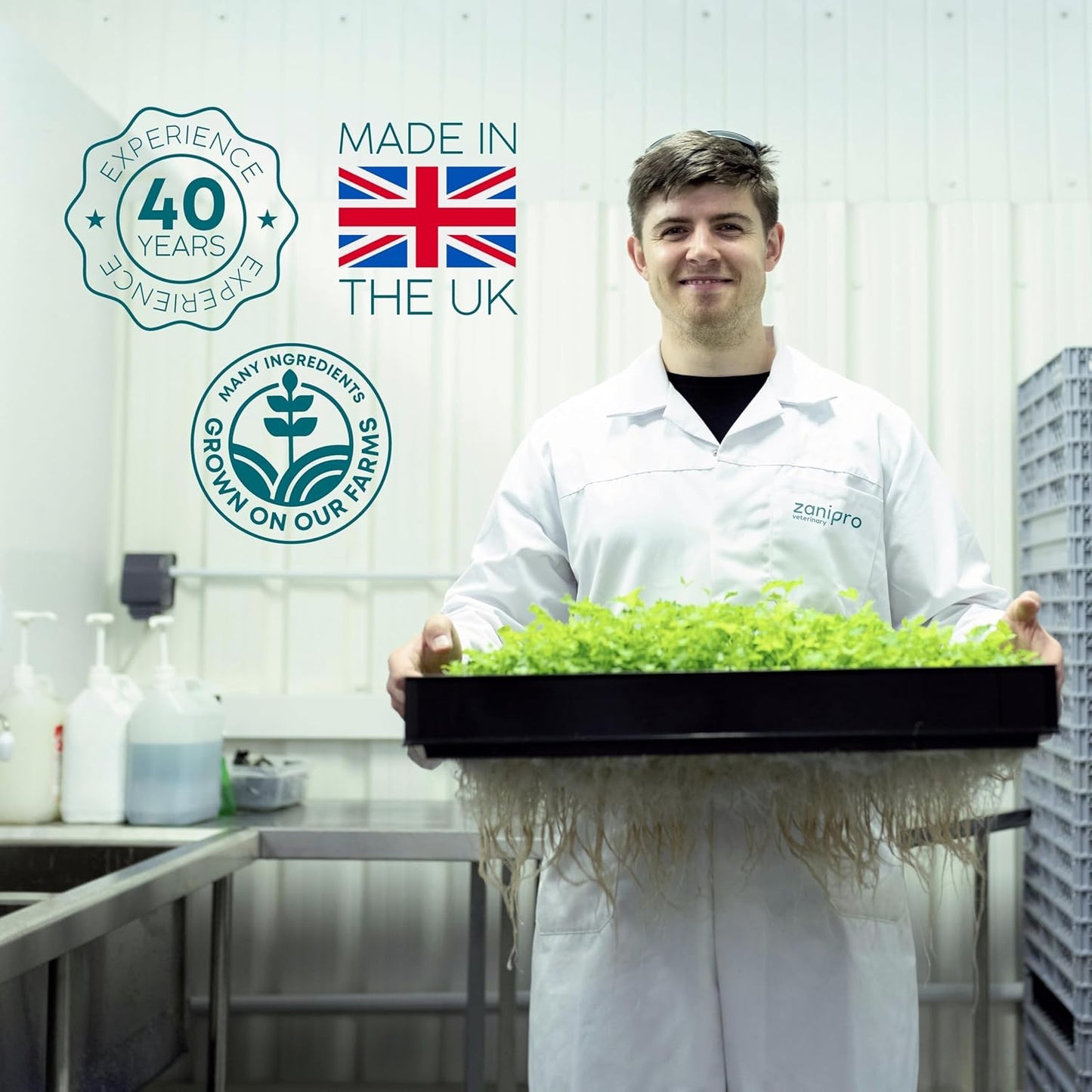 Protum Probiotic Paste for Dogs - 30ml Advanced Prebiotic Formula for Digestive Support - Tasty Flavour for Canine Gut Health - Aids Digestion, Diarrhea Recovery, and Wellness