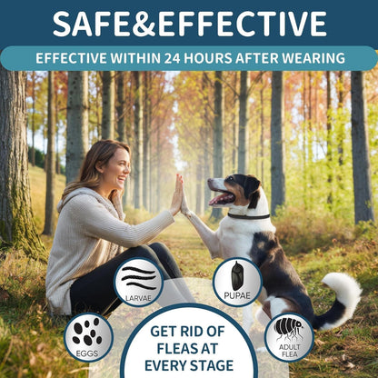 Flea and Tick Collar for Dogs 4 Pack, 32 Months Prevention, Waterproof, Adjustable for Small Medium Large Dogs Puppies (Black)