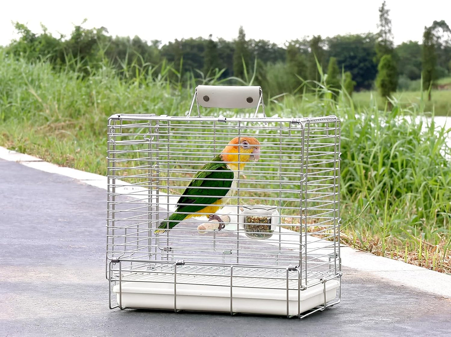 Bird Carrier Travel Cage - 304 Stainless Steel Portable Folding Bird Travel Cage with Parrot Feeder Cups & Standing Perch for Smaller Birds Conures Lovebird Cockatiel Parakeets (White)