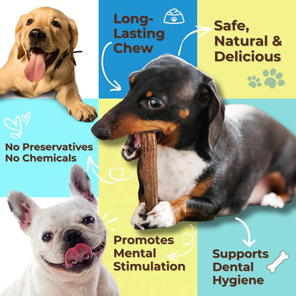 Grade A Premium Quality Elk Antler Dog Chews, Naturally Shed No Preservatives for Mild to Aggressive Chewers, Long Lasting Bone Treat Made in USA (Large Whole 2 Pack)