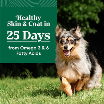 Nutro Natural Choice Adult Large Breed Dog Food Dry, Salmon & Brown Rice Recipe, 28 lb. Bag