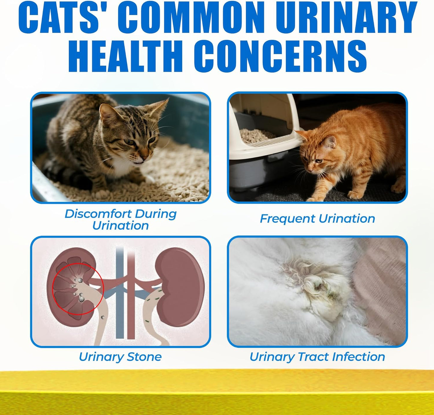 Just Try 300 Bites 6.35 oz Urinary Tract Bites for Cats - Cranberry & D Mannose Formula for Bladder Health - Prevent UTI & Promote Urinary Comfort - Grain Free, Natural Ingredients Cat Supplements