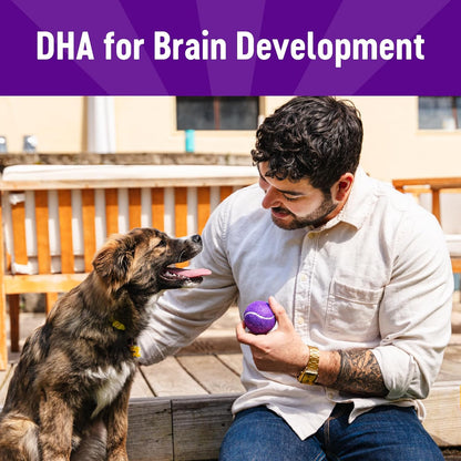 Wellness Puppy Treats, Natural, Training Treat, Grain Free, Soft Lamb & Salmon (8 Ounce Bag)