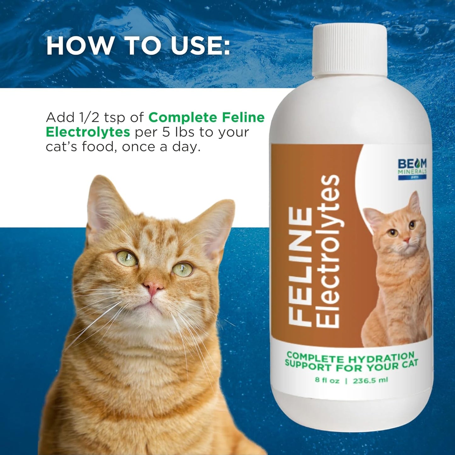 Beam Minerals Complete Feline Electrolytes | Full-Spectrum Electrolytes for Cats | 8 Fl Oz