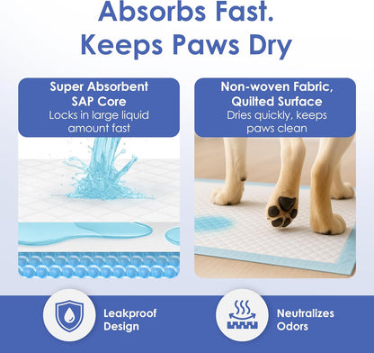 American Kennel Club Scented Puppy Training Pads with Ultra Absorbent Quick Dry Gel – 28 x 30 Pee Pads for Dogs - Fresh Scented - 50 Count, XL