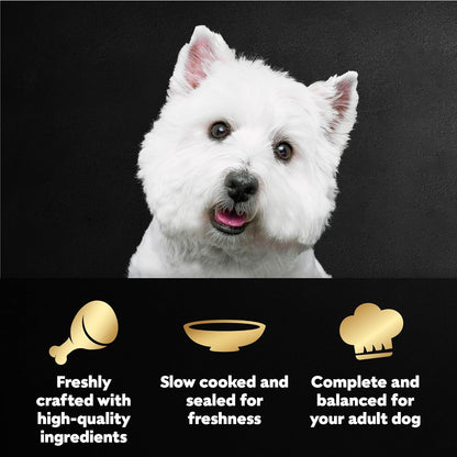 Cesar Filets in Gravy Wet Dog Food, Wood-Grilled Chicken Flavor, 1.76 oz. Mini-Pouches, 20 Count (Pack of 1)