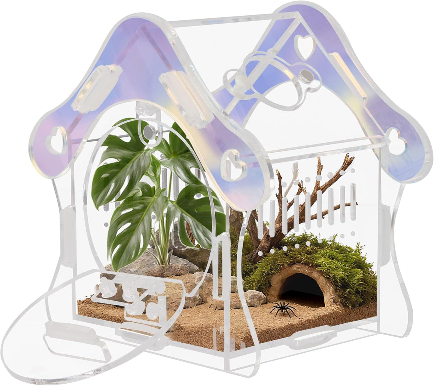 Magnetic Acrylic Jumping Spider Enclosure with Mushroom House, Easy-Feed Hole & Front Opening – Terrarium for Tarantula, Mantis, Beetle, Gecko, Hermit Crab, Reptile Habitat