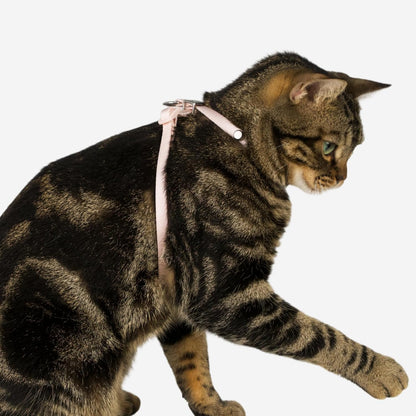 Escape Proof Cat Harness Anti-Choke Quick Release Adjustable QR Code Soft Nylon Durable Lightweight Figure 8 Cat Harness Anti Escape for Kitten Small Medium Large Cats (Blush Pink, M)