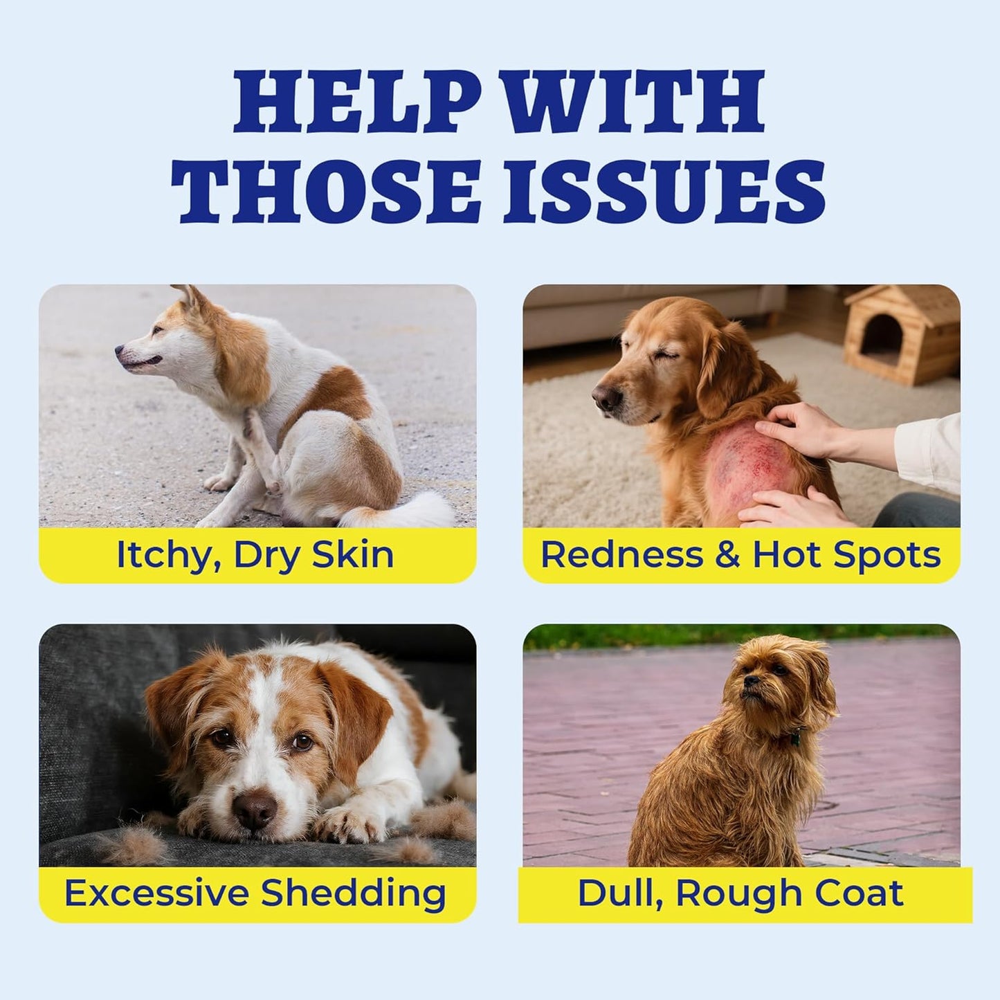 260 Bites Wellix Dog Skin and Coat Supplement - Affordable, Long-Lasting Omega 3 Fish Oil for Dogs - Supports Skin & Coat, Itching Relief & Anti-Shedding Tasty Dog Allergy Chews