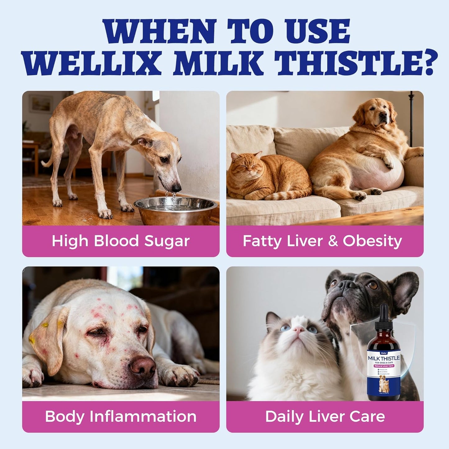 Wellix 120ml Milk Thistle for Cats & Dogs, Advanced Formula with Astaxanthin for Detox and Antioxidant, Dog Liver Supplement, Chicken Flavor Milk Thistle Liquid