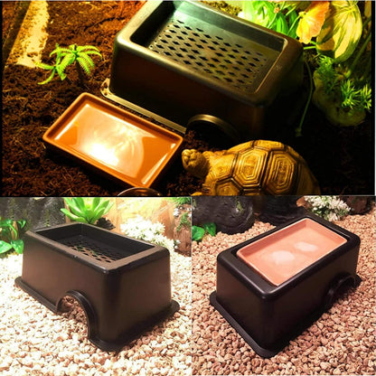 Hamiledyi Reptile Hide Box Gecko Hideout Cave with Sink Humidifier and 4 Pcs Reptile Hideouts Natural Coconut Shells Hut Hermit Crab Climbing Toys for Spider Snake Chameleon