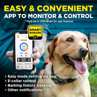 Dogtra Smart NOBARK Detects Whining and Barking, 33 ft Range App for Notifications, E-Collar, Behavior Report, Waterproof IPX9K, Compact Size for 10 lb Dogs, Triple Detection Accuracy