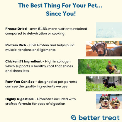 A Better Dog Food | Chicken Dry Dog Food | Raw You Can See | High Protein Kibble + Freeze Dried Raw Dog Food