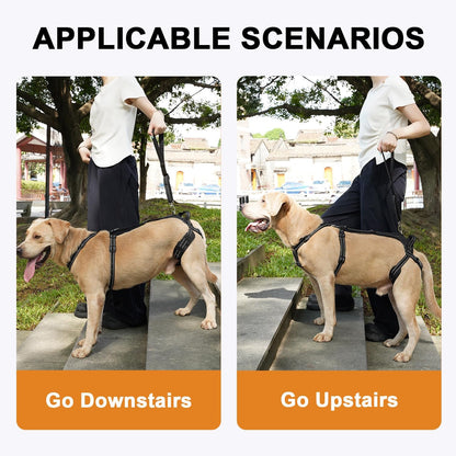 COODEO Professional Dog Sling for Hind Leg Support - Aid for Post-ACL/TPLO Surgery & Senior Dogs, Secure,Breathable & Machine-Washable with Reflective Edging for Safe Walks (Black, M)