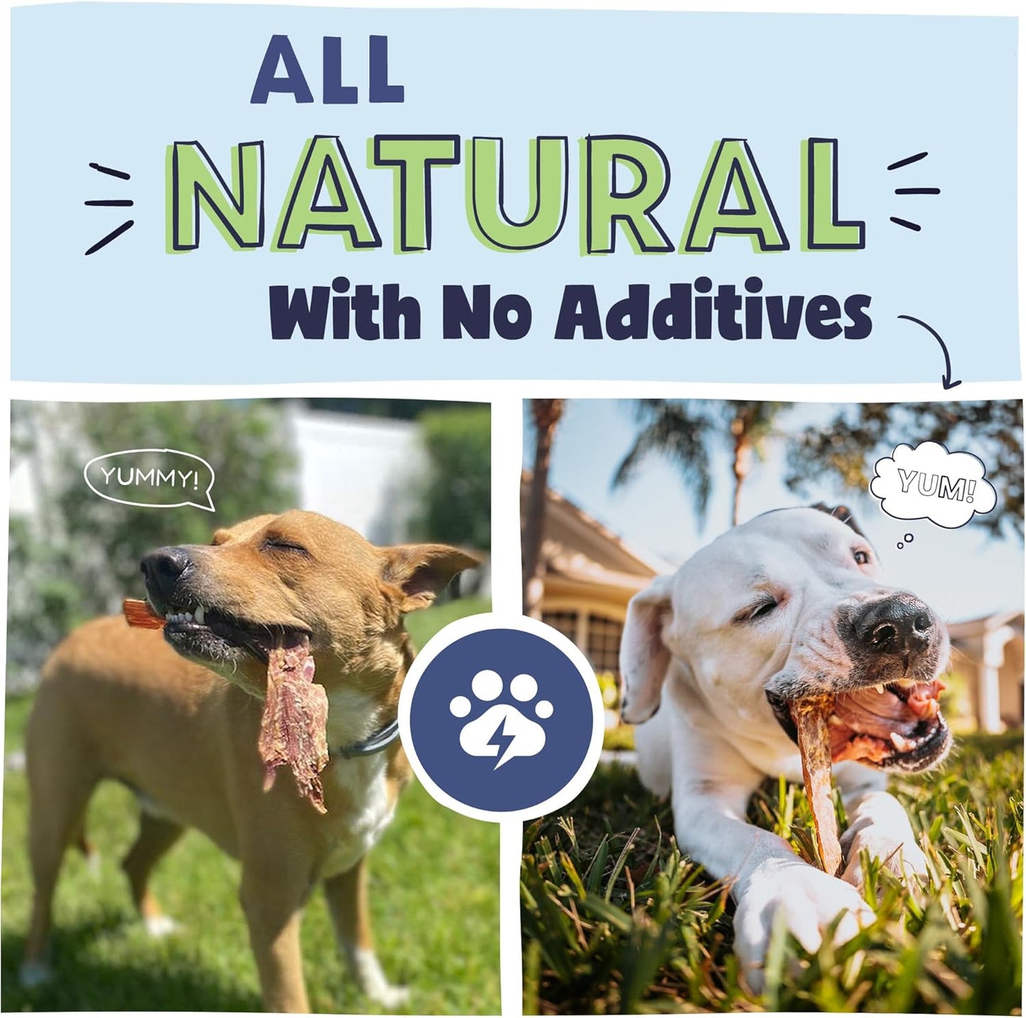 Pawstruck Premium Beef Jerky Dog Treat Chews, Medium 4"-6" Strips – Supports Hip & Joint Health, Rich in Glucosamine & Chondroitin, No Added Preservatives – 25 Count