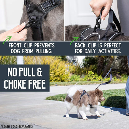 Pet Craft Supply Premium Dog Harness - Small