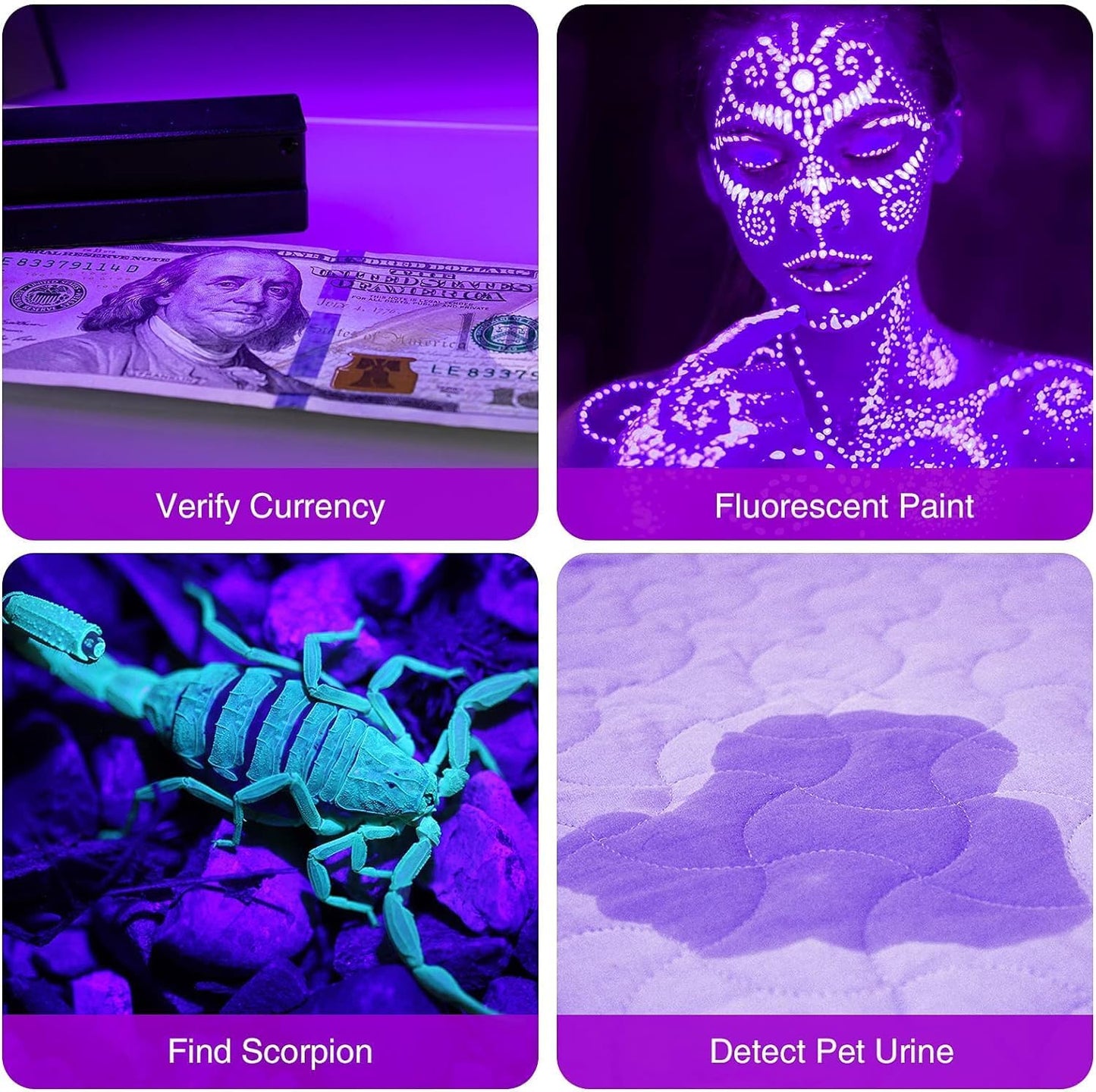 COSOOS 2 Pack UV Flashlight, 12 LED Handheld Blacklight Flashlight 395nm Mini Light Torch Detector for Dog Pet Urine Stains, Bed Bugs and Scorpions. (Batteries not Included)