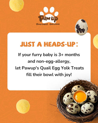 PAWUP Freeze Dried Cat & Dog Treats, Natural Quail Egg Yolk, Single Ingredient, High-Protein Pet Snacks for Skin & Coat Health, No Artificial Additives, 9.2 oz