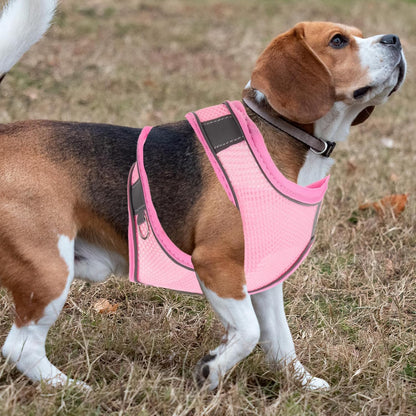 COHEALI Reflective Dog Harness Vest with Breathable Mesh Fabric and Long Leash for Outdoor Walking Comfortable No-Pull Pet Safety Belt for Puppies and Dogs