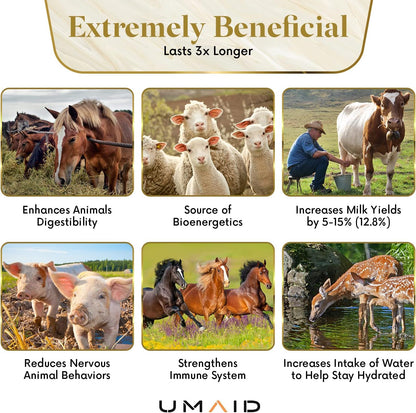 UMAID Himalayan Salt Lick 6 lbs On Rope for Horse, Deer, Goat, and Livestock Animals - Himalayan Salt Block 1 Pack