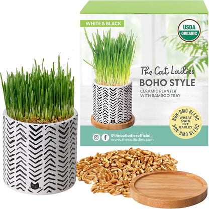 The Cat Ladies Organic Cat Grass for Indoor Cats - Growing Kit with Organic Seed Mix, Soil and Boho Planter with Bamboo Tray. Natural Hairball Control and Digestion Remedy, Cat Gifts