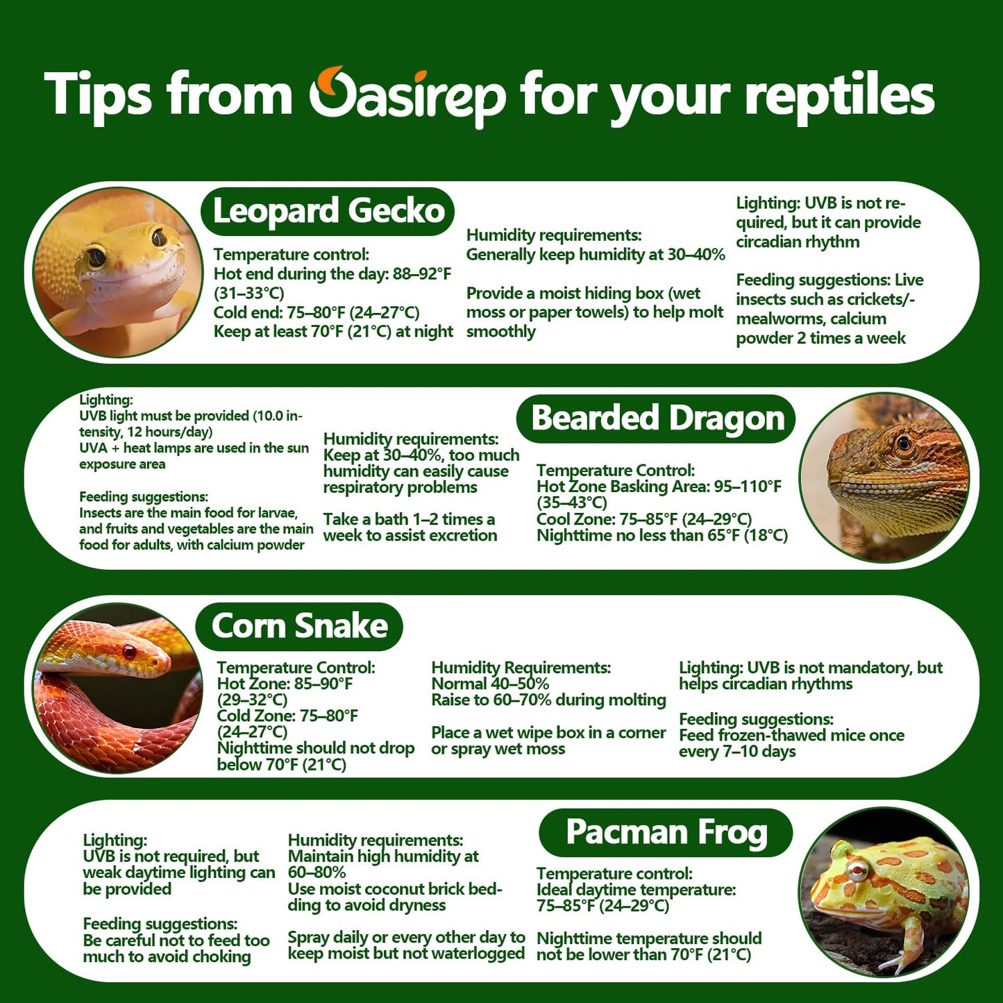 Black Reptile Thermometer and Hygrometer – LCD Digital Temp & Humidity Gauge for Bearded Dragon, Ball Python, Crested Gecko, Tortoise, Frog, Axolotl Tanks