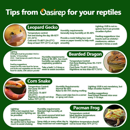 Black Reptile Thermometer and Hygrometer – LCD Digital Temp & Humidity Gauge for Bearded Dragon, Ball Python, Crested Gecko, Tortoise, Frog, Axolotl Tanks