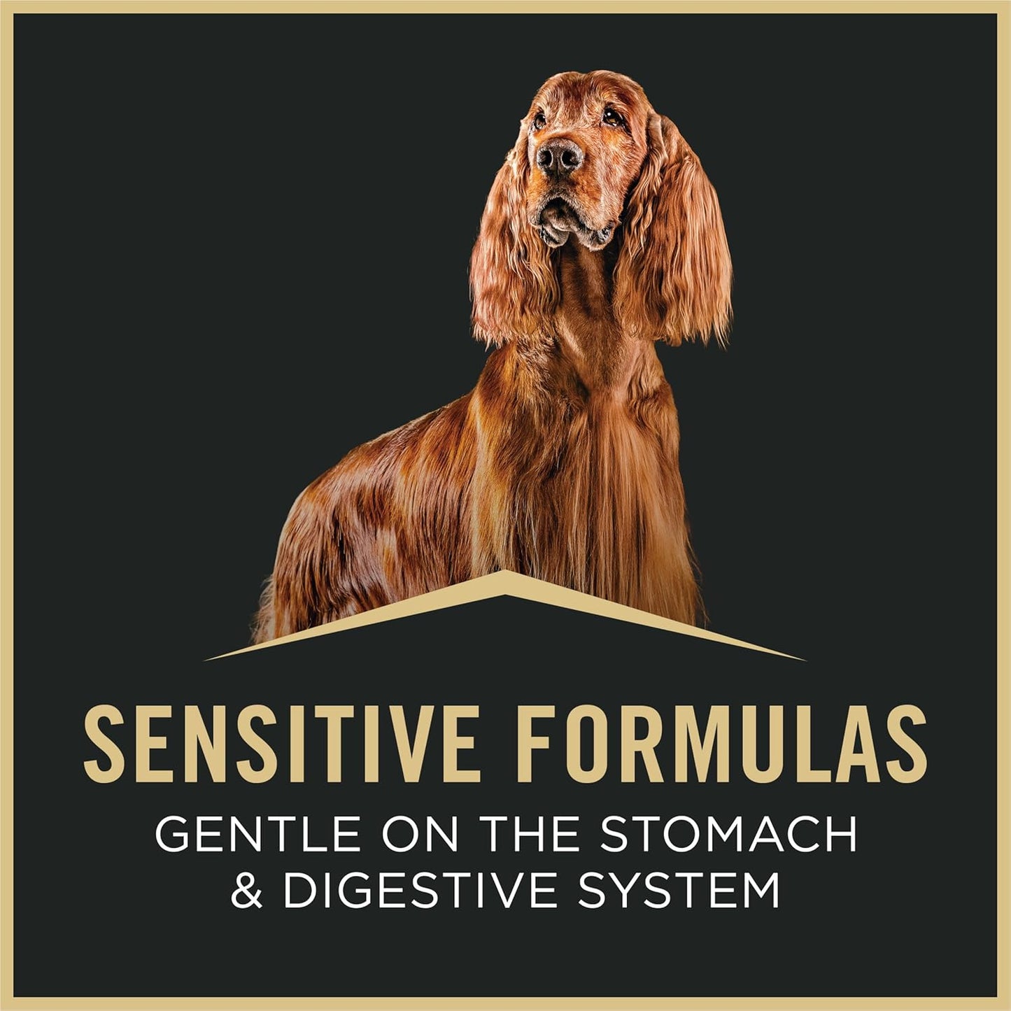 Purina Pro Plan Sensitive Skin and Stomach Salmon and Rice Formula Adult Dry Dog Food Bundle Sensitive Skin and Stomach Salmon and Rice Entree Adult Wet Dog Food