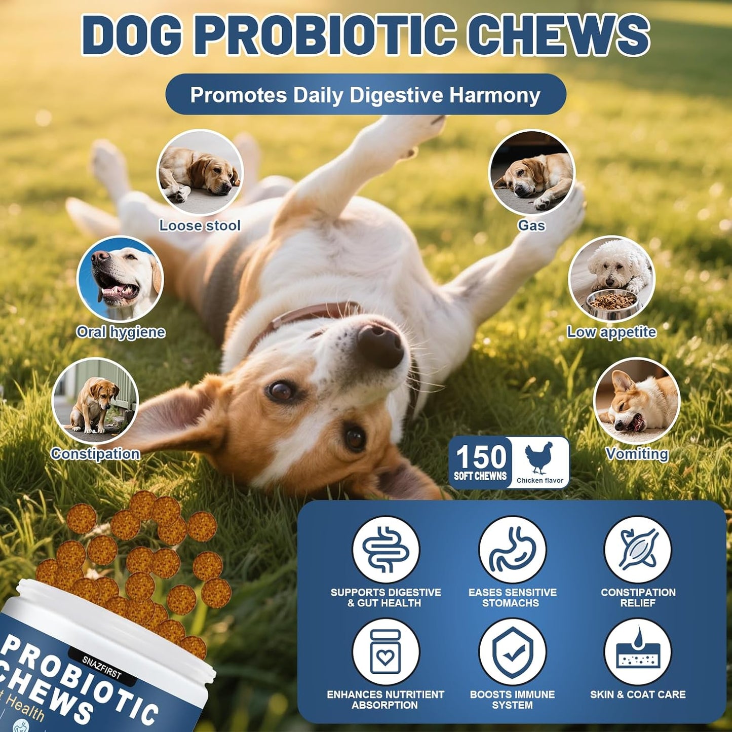 Probiotics for Dogs, Dog Probiotics Chews for Digestive Health & Gut Health, Improve Immune System,Constipation & Diarrhea Relief(Chicken Flavor, 150 Chews)