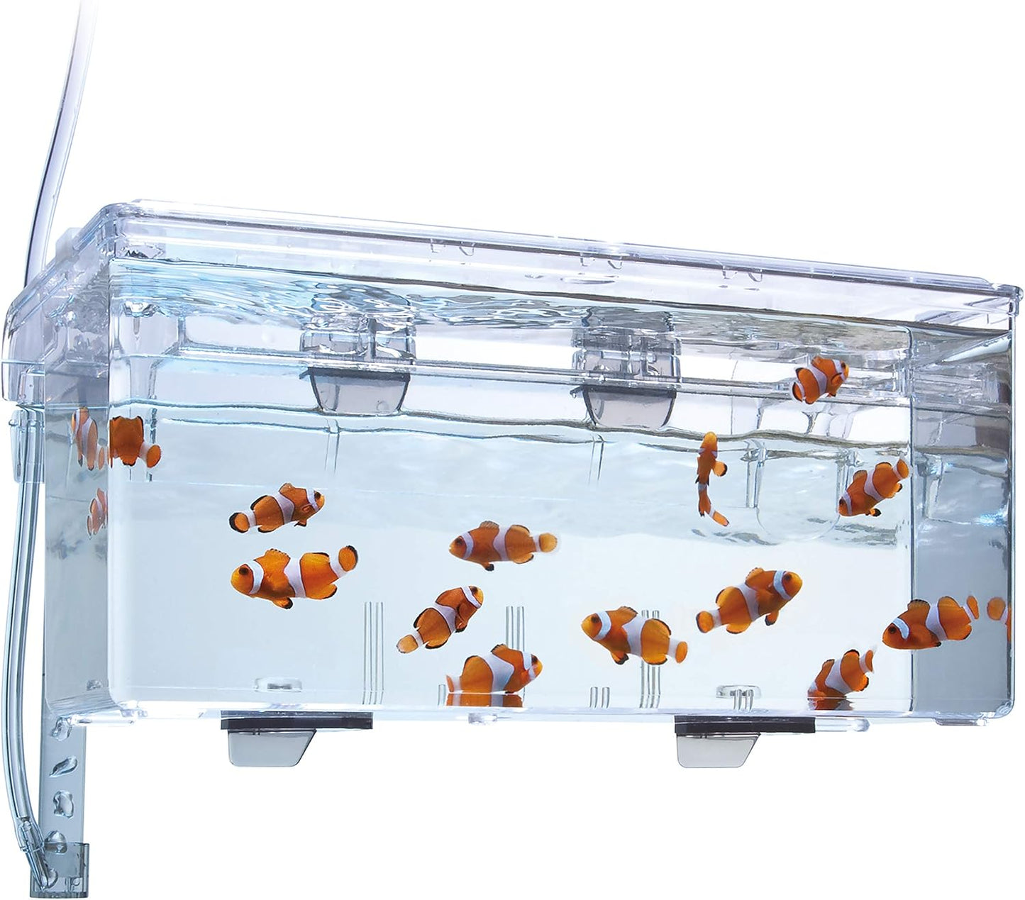 Fluval Multi-Chamber Holding and Breeding Box, Large – Up To 3 Separate Housing Compartments