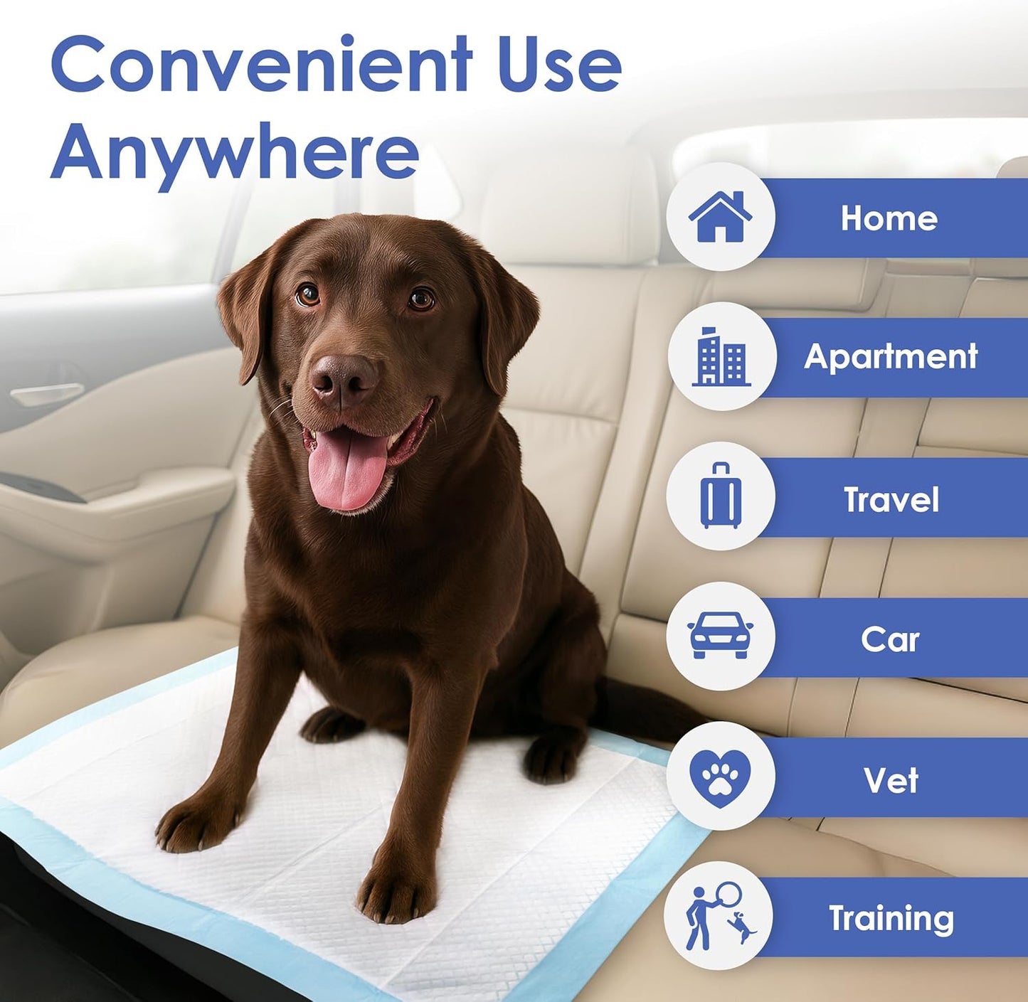 American Kennel Club Scented Puppy Training Pads with Ultra Absorbent Quick Dry Gel – 28 x 30 Pee Pads for Dogs - Fresh Scented - 50 Count, XL